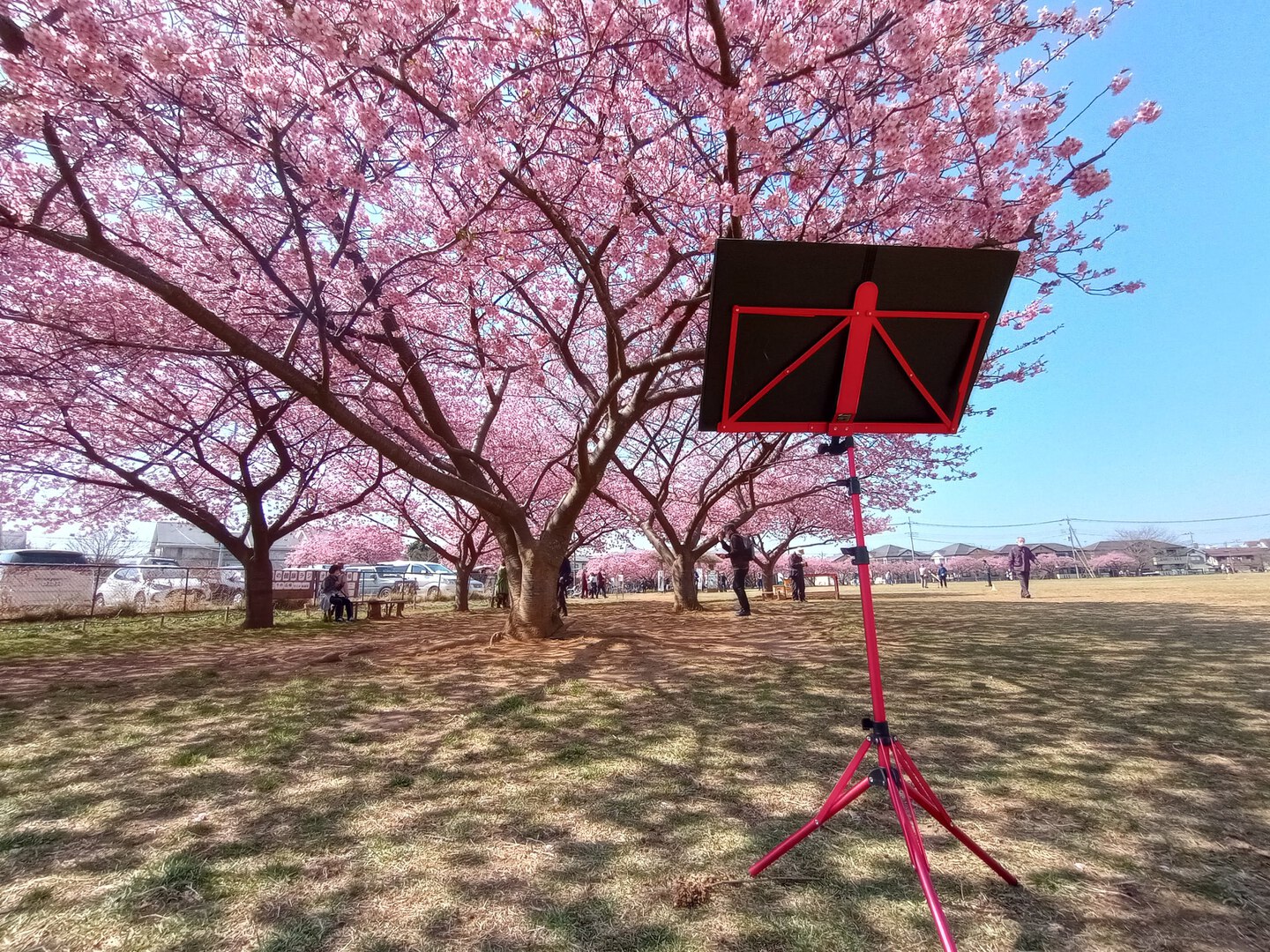 カラー譜面台 シャイニーカラー 推しカラー