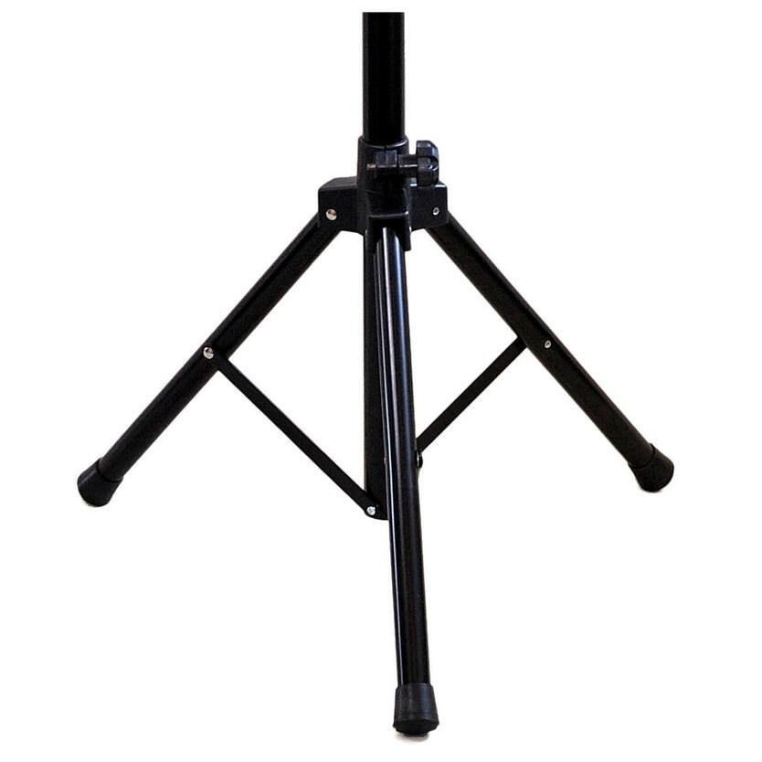 しっかりとした脚